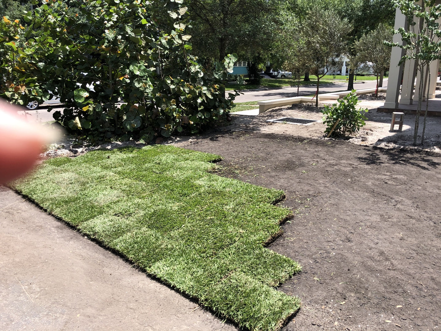 Plaza de aparcamiento con césped