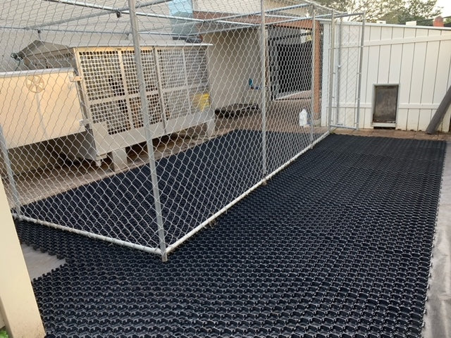 Instalación en perrera